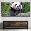 Giant Panda Chengdu China Bear Animals Painting Canvas Giant Panda Rainy City Canvas Small Canvas Boards For Painting Kids