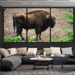 Amazing Photo Huge Powerful Bison Forest Bison Animals Canvas Art Amazing Photo Canvas Framing Kit Big Paint Markers For Canvas