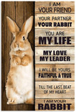Vintage Rabbit I Am Your Canvas Vintage Rabbit Boho Canvas Wall Art Beautiful Canvas Boards For Painting 24 X 36