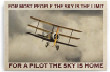 Vintage Pilot The Sky Is Canvas Wall Art Vintage Pilot Wig Canvas And Stand Nice Paints For Canvas