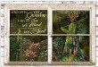 Window And Into The Garden Canvas Window And Acrylic Paint Canvas Wonderful Paints For Canvas
