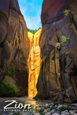 Zion National Park Utah Narrows Canvas Zion National Space On Canvas Shapely Rectangle Canvas For Painting