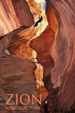 Zion National Park Canyoneering Scene Canvas Art Zion National Wide Canvas Painting Cool Gold Paint For Canvas