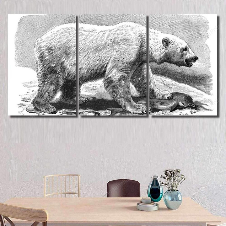 Polar Bear Ursus Maritimus Vintage Illustration Bear Animals Canvas Wall Art Polar Bear Canvas Puller Nice Canvas App For Students