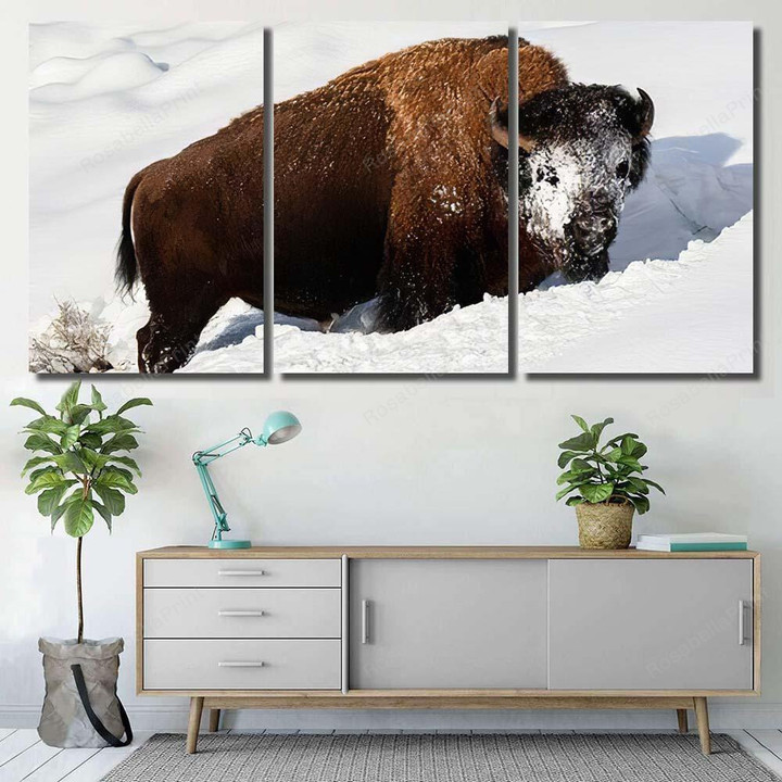 American Bison Explores Snow Covered Winter 1 Bison Animals Canvas Art American Bison Painters Canvas Large Fit Labels For Canvas Bins