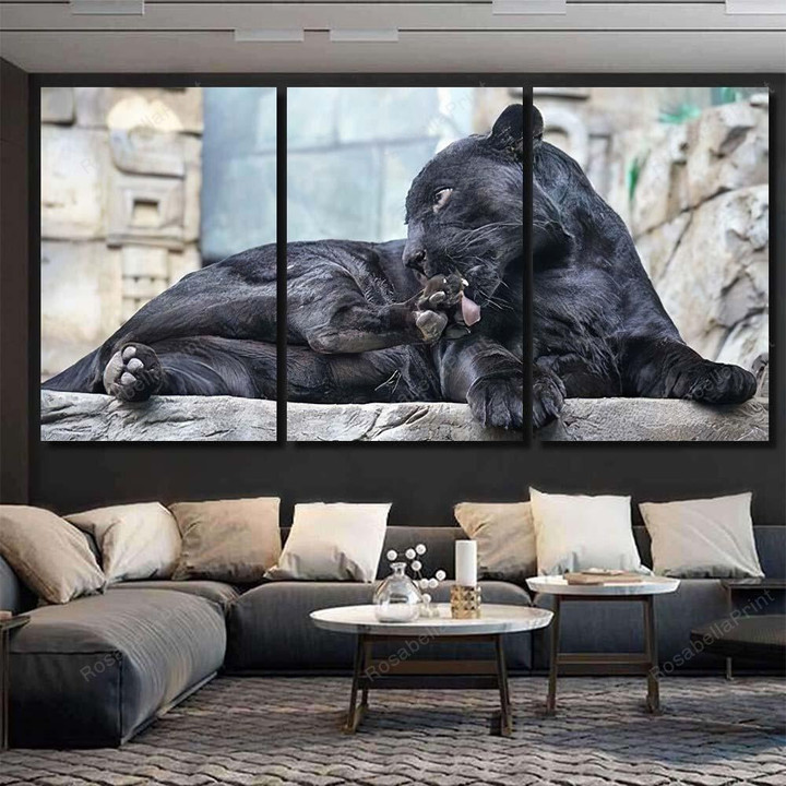 Black Panther Panthera Pardus Lying On Black Panther Animals Canvas Art Black Panther Beach Canvas Cool Frame For Canvas
