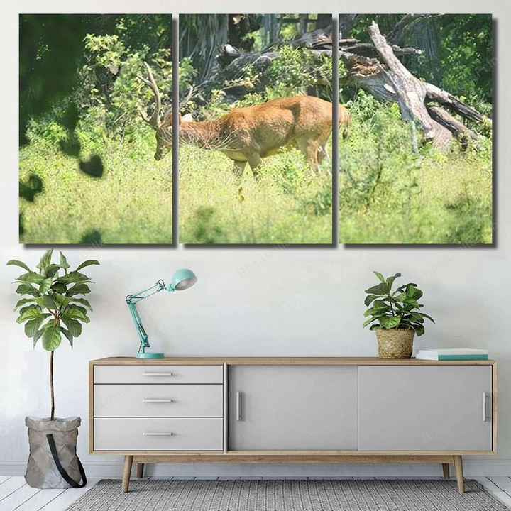 Deer Appear Art Paleolithic Cave Paintings Deer Animals Canvas Wall Art Deer Appear Heart Canvas Kawaii Clear Canvas For Painting