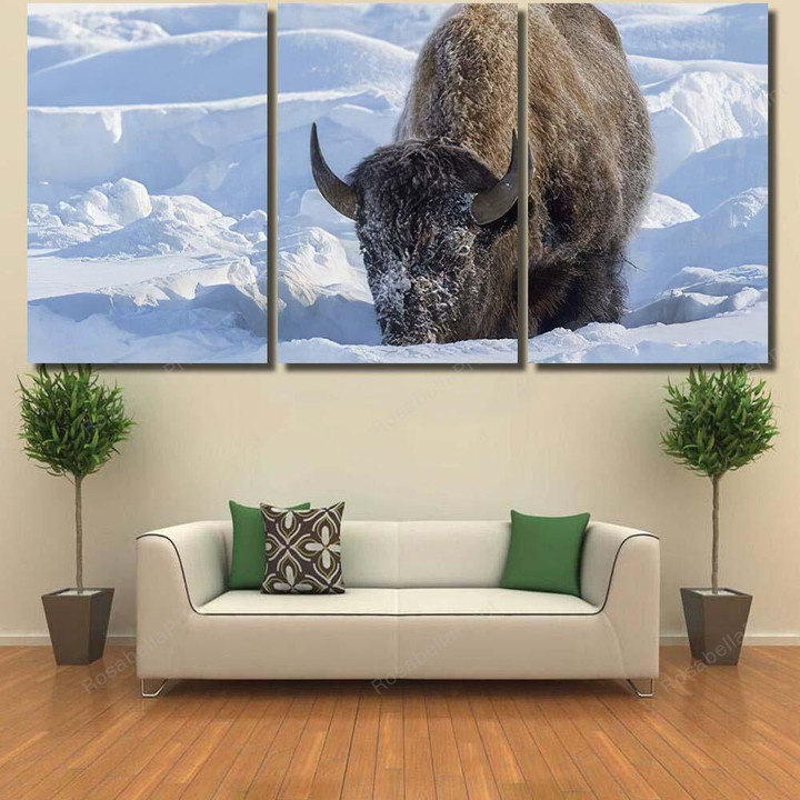 American Bison Adult Feeding Deep Snow Bison Animals Canvas Art American Bison Canvas Patio Covering Clean Canvas Panels For Kids