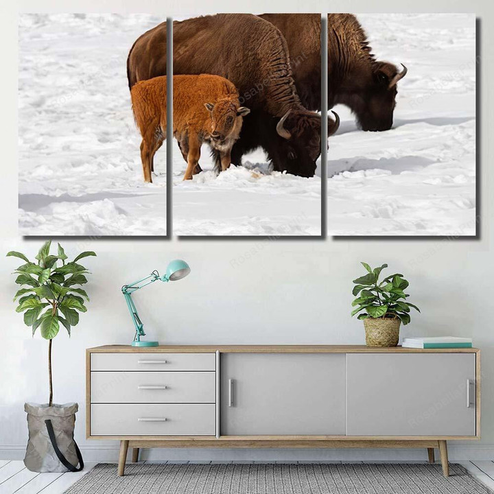 North American Bison Genessee Park Bison Animals Canvas North American New Orleans Canvas Kawaii Canvas For Coloring