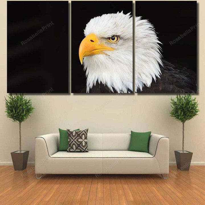 Head Bald Eagle On Black Background Eagle Animals Premium Painting Canvas Head Bald Cactus Canvas Print Plain Double Primed Canvas For Oil Paints
