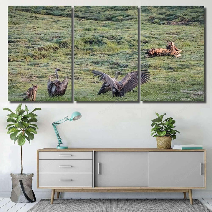 Fox Two Eagles Dogs Grassy Field Eagle Animals Premium Canvas Wall Art Fox Two Canvas Puller Cool Paint Markers For Canvas