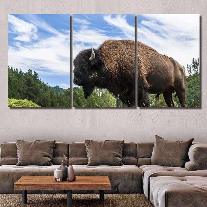 Buffalo Bison Posing Front Dramatic Sky Bison Animals Canvas Wall Art Buffalo Bison Fire Retardant Canvas Huge Labels For Canvas Bins
