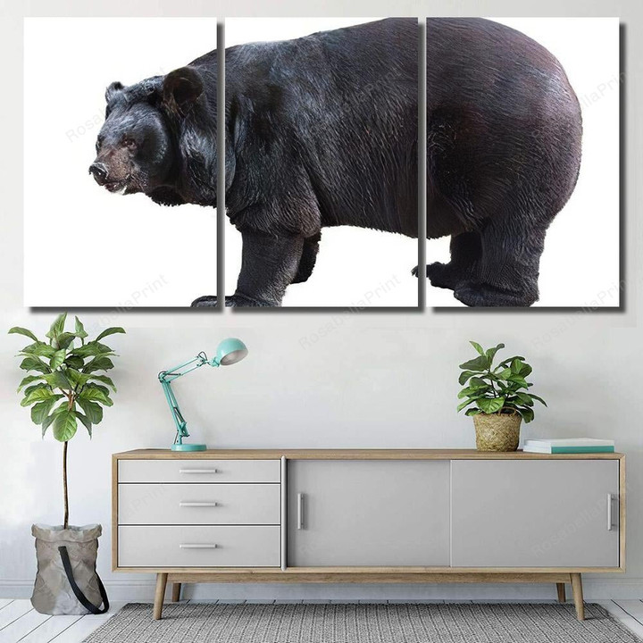 Standing Asiatic Black Bear Tibetan Himalayan Bear Animals Canvas Wall Art Standing Asiatic Bull Skull Canvas Plain Empty Canvas For Painting
