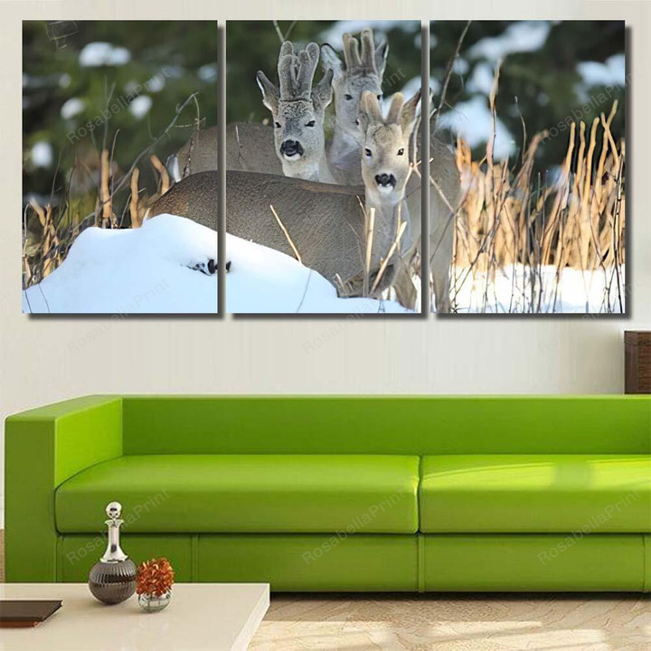 Roe Deercapreolus Capreolus Father Offspring Deer Animals Canvas Wall Art Roe Deercapreolus Canvas Framing Clips Cute Plaster For Canvas Painting