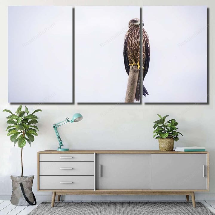 Single Golden Eagle Eagle Animals Premium Canvas Wall Art Single Golden Canvas Club Belt Fit Polyester Canvas For Sublimation