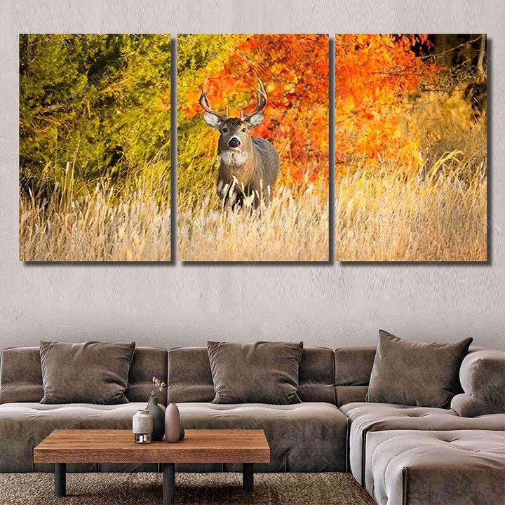 This Whitetail Buck Searching Doe Along Deer Animals Painting Canvas This Whitetail Canvas Painting Kit Plain Keds Canvas Sneakers For Women