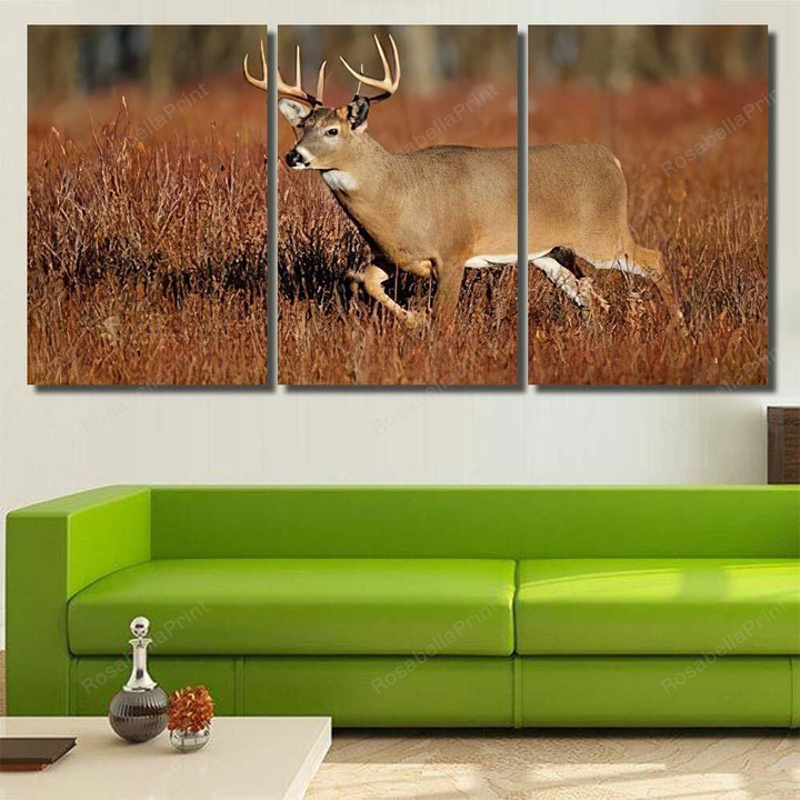 Whitetailed Deer Standing Meadow Deer Animals Canvas Whitetailed Deer Sublimation Canvas Kawaii Large Canvas For Painting