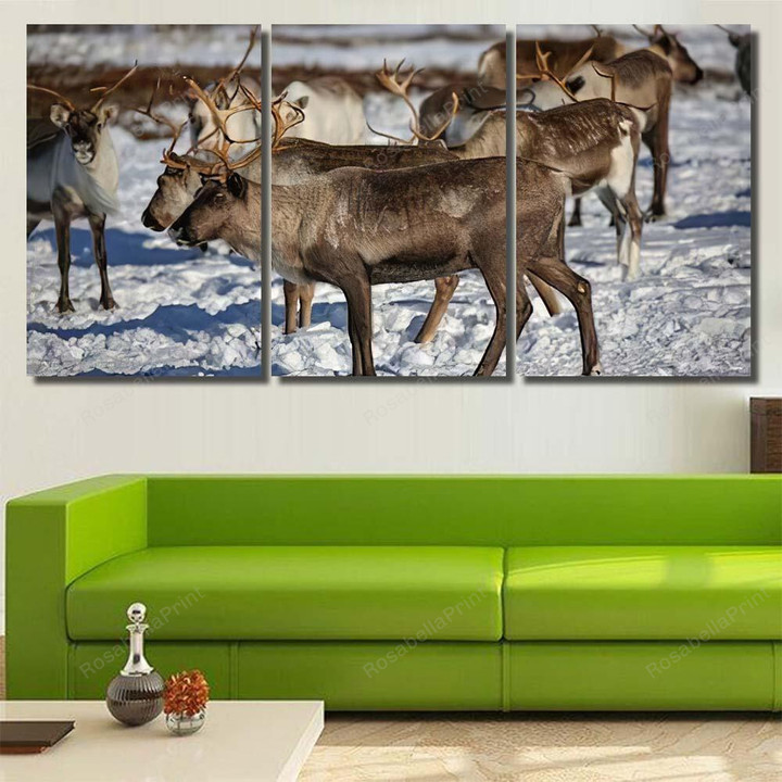 Reindeer On Free Pasture Tundra Deer Animals Canvas Art Reindeer On Minimalist Canvas Wall Art Puny Printable Canvas Sheets For Inkjet Printers
