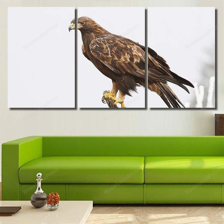 Golden Eagle Aquila Chrysaetos Sitting On Eagle Animals Premium Canvas Wall Art Golden Eagle Canvas Board Large Shapely Canvas For Coloring