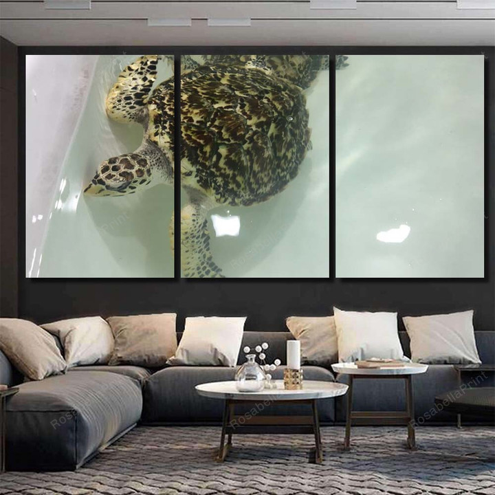 Turtle Swimming Pool Luxury Art Wall Decor, Rosabella Multi Piece Painting Canvas Art Turtle Swimming Canvas Bin Storage Huge Plaster For Canvas Painting