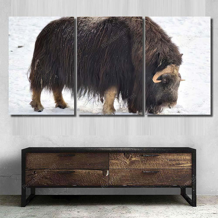 Large Black Bison Snow Bison Animals Canvas Large Black Girls White Canvas Tennis Shoes Fit Canvas For Acrylic Painting