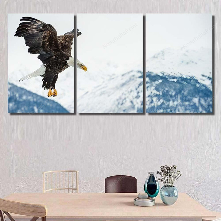 Flying Bald Eagle Haliaeetus Leucocephalus Washingtoniensis 1 Eagle Animals Premium Canvas Flying Bald Painting Canvas Set Attractive Clear Canvas For Painting
