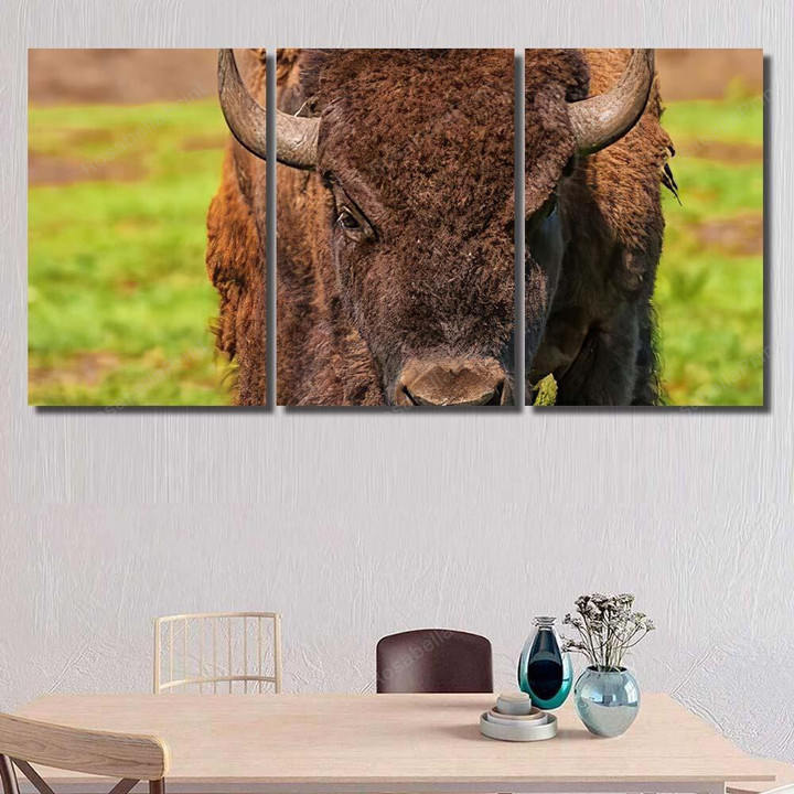 Close Head American Bison Bison Animals Canvas Art Close Head Reverse Canvas Sign Gorgeous Clear Canvas For Painting