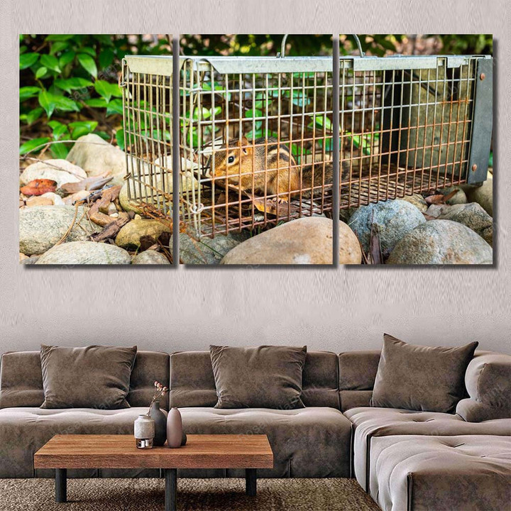 Chipmunk Live Humane Trap Pest Rodent Luxury Art Wall Decor, Rosabella Multi Piece Painting Canvas Chipmunk Live Canvas Easel Wonderful Paint Markers For Canvas