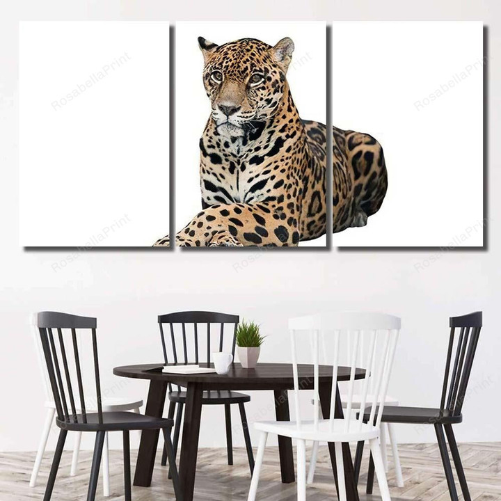 Jaguar Panthera Onca Isolated On White 3 Black Panther Animals Canvas Art Jaguar Panthera Canvas Painting Party Cute Canvas Boards For Painting 24 X 36