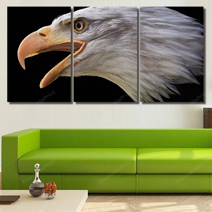 Screaming Bald Eagle Haliaeetus Leucocephalus Beak Eagle Animals Premium Canvas Screaming Bald Canvas Paint Set Wonderful Canvas Boards For Painting 8x10