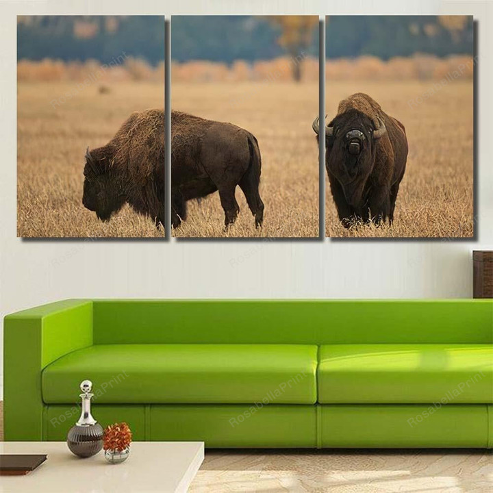 American Bison Grand Teton Yellowstone Nps 1 Bison Animals Canvas American Bison White Canvas Wall Art Cool Keds Canvas Sneakers For Women