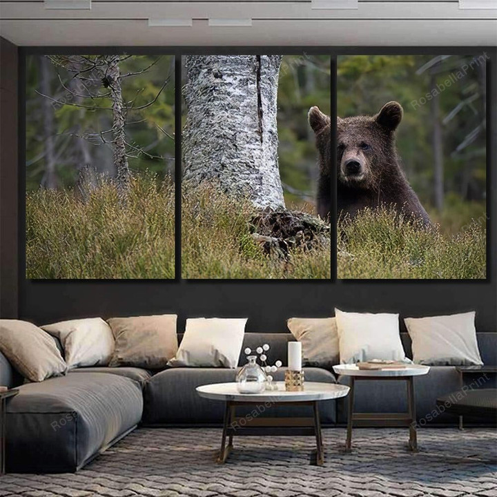 Young Broown Bear Ursus Arctos Looking Bear Animals Painting Canvas Young Broown Cigar Canvas Cute Paint Markers For Canvas
