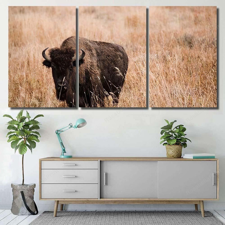 Young Male Bison Stood Amongst Grass Bison Animals Painting Canvas Young Male Small Canvas Drawstring Bags Fit Canvas Boards For Painting 24 X 36