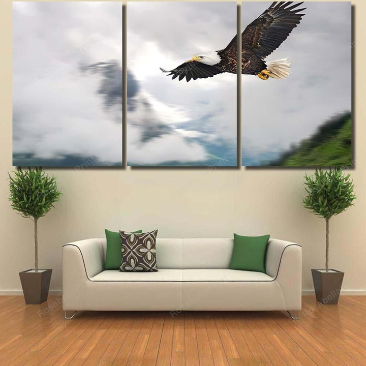 American Bald Eagle Flight Illustrated Over 1 Eagle Animals Premium Canvas Art American Bald Canvas Half Chaps Plain Canvas Bag For School