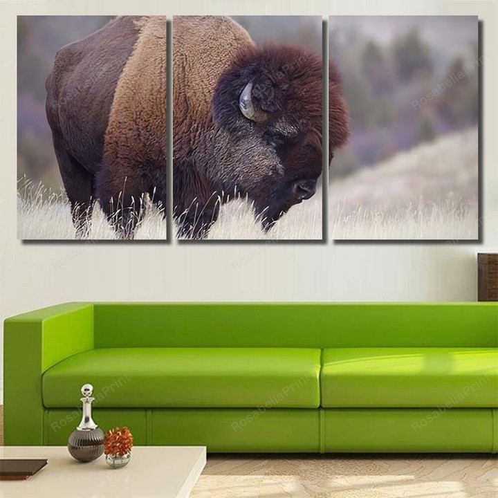 American Bison K Buffalo On Plains 1 Bison Animals Canvas Art American Bison Reverse Canvas Sign Big Supplies For Canvas Painting