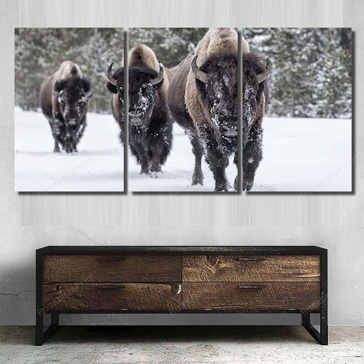 American Bison 14 Bison Animals Canvas American Bison Flat Canvas Nice Canvas For Painting