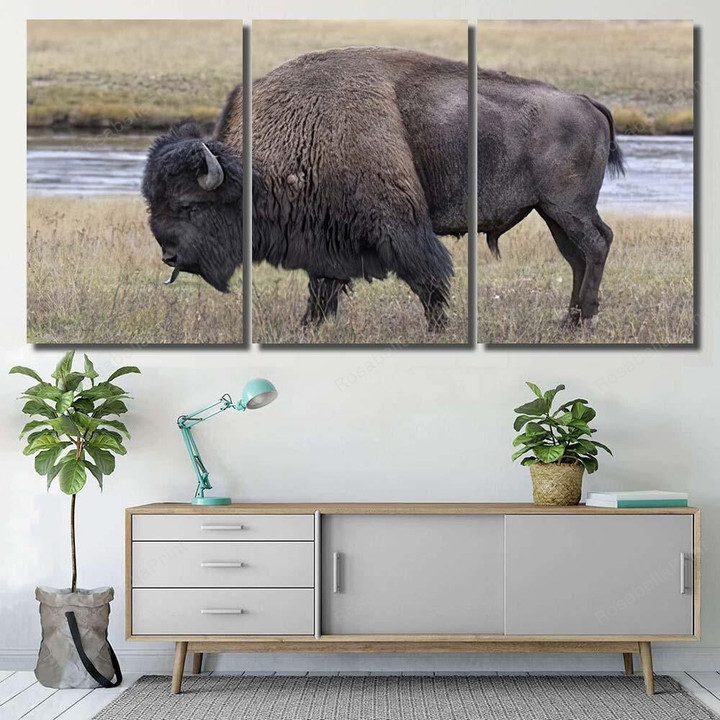 American Bison Scent Tasting Bison Animals Canvas American Bison Rainy City Canvas Kawaii Paints For Canvas