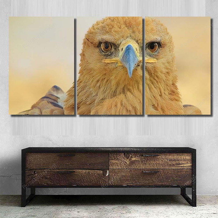 Tawny Eagle Wild Bird Background Glorious Eagle Animals Premium Canvas Tawny Eagle Paint Canvas Beautiful Canvas For Painting For Kids