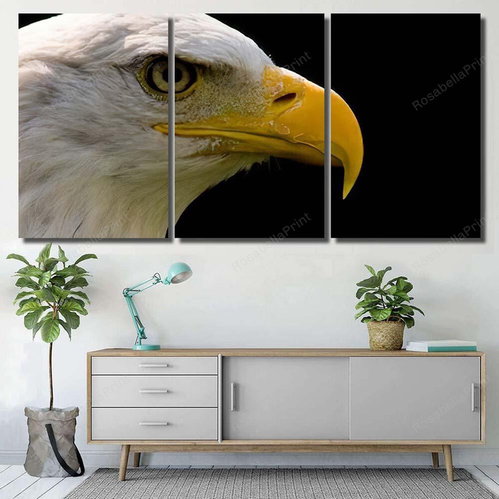 Portrait Bald Eagle 2 Eagle Animals Premium Canvas Wall Art Portrait Bald Stretched Canvas Elegant Canvas Bag For School