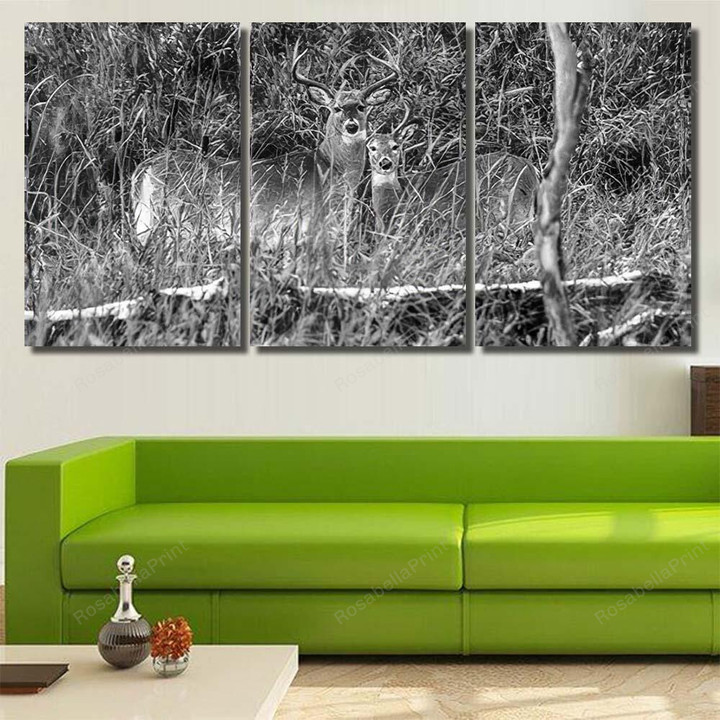Two Male White Tailed Deers Stand Deer Animals Canvas Two Male Bulk Canvas Fun Plaster For Canvas Painting