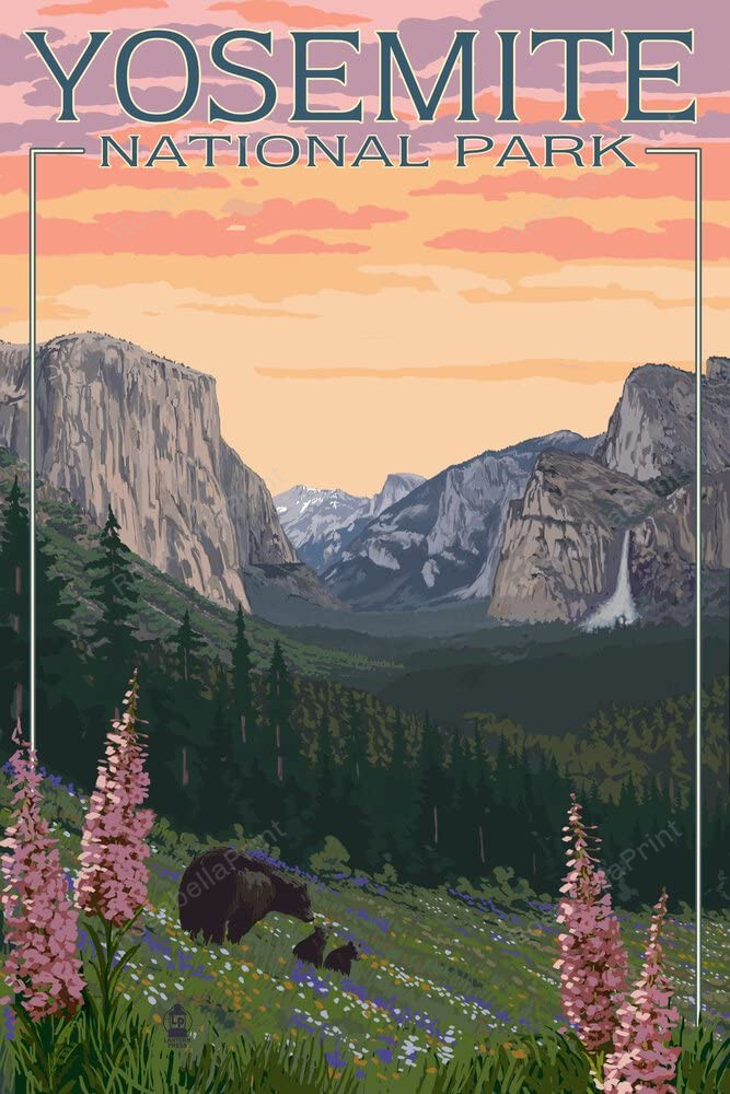 Yosemite National Park California Bear Painting Canvas Yosemite National So Danca Canvas Ballet Shoes Huge Polyester Canvas For Sublimation