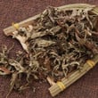 SPAFOOT™ : Artemisia Detox Foot Bath (10 Bags)