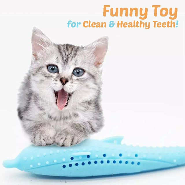 CATOY™ : Cat Dental Toy