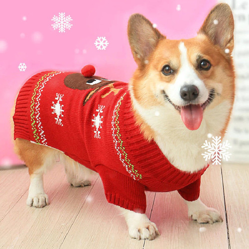 Christmas Sweater for Corgi Dog