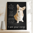 I am your friend, I am your CORGI
