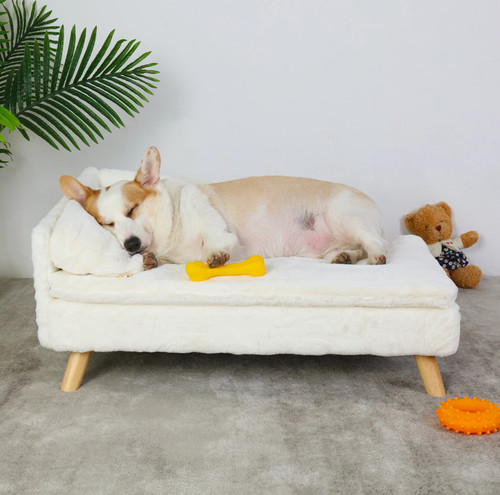Small Sofa for Dog & Pet