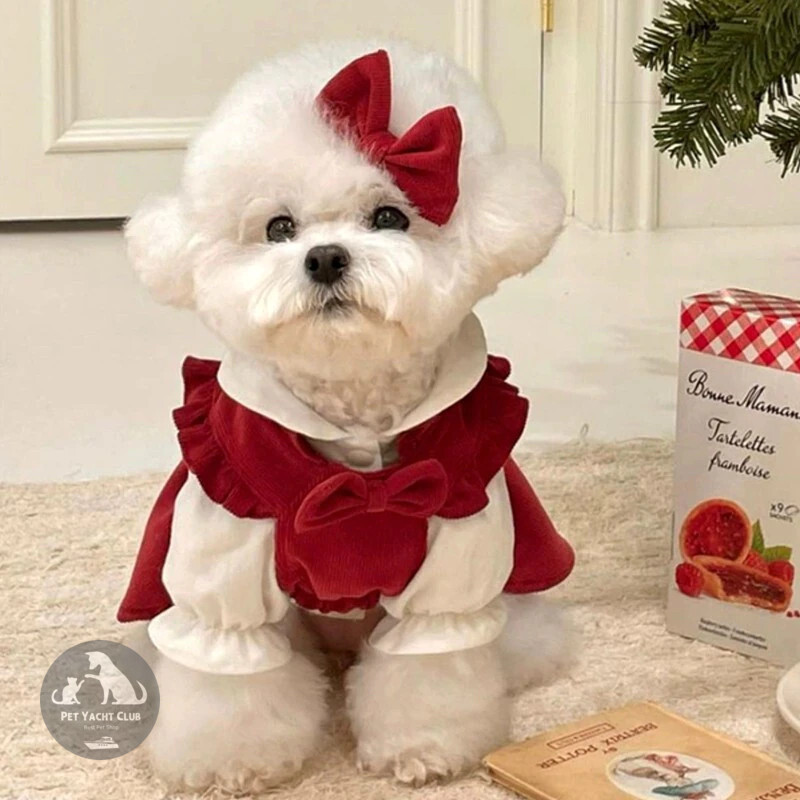 Cute Bichon Frise Princess Dress - Best Pet Shop