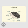 Anatomy Of A Hedgehog Metal Sign