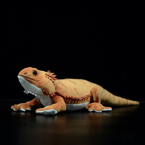 46cm Long Real Life Bearded Dragon Plush Toy Soft Lifelike Lizards Stu -  giftsmaart