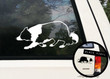 Make Your Car Stand Out with Border Collie Bumper Sticker